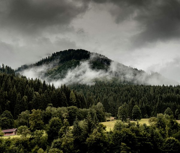 Herbst im Marten. Herbst im Marten.