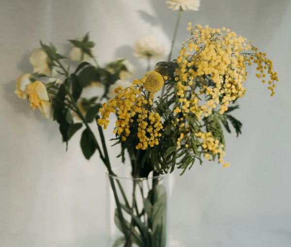 Deine Gastgeberinnen