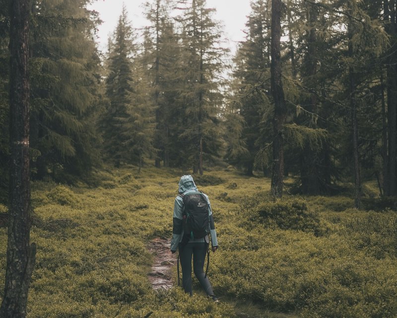 Deine Herbst-Bucketlist für Saalbach Hinterglemm Person spaziert durch grünen Wald