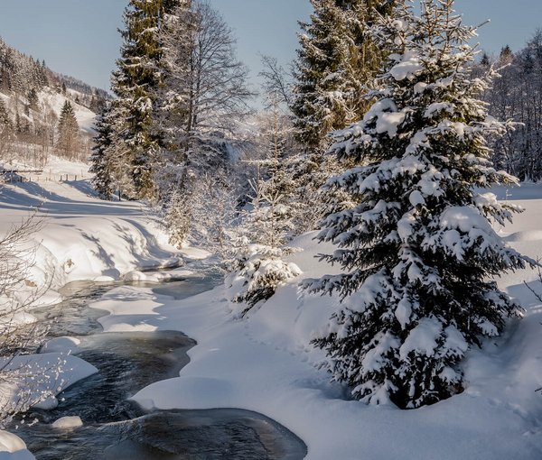 Komfortabler geht’s nicht