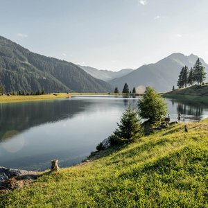 5 Gründe fürs Marten