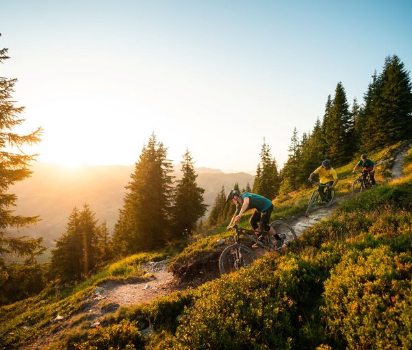 Herbstbiken in Saalbach Hinterglemm Radfahrer auf Berg mit Bäumen und Sonne
