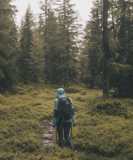 Deine Herbst-Bucketlist für Saalbach Hinterglemm Wanderer geht durch einen Waldwanderweg im Sommer