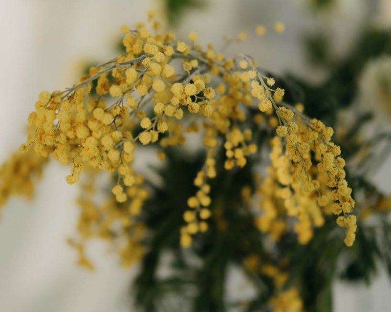 Doppelzimmer Stadlblick