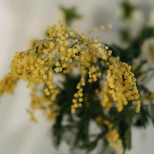 Doppelzimmer Abendlicht