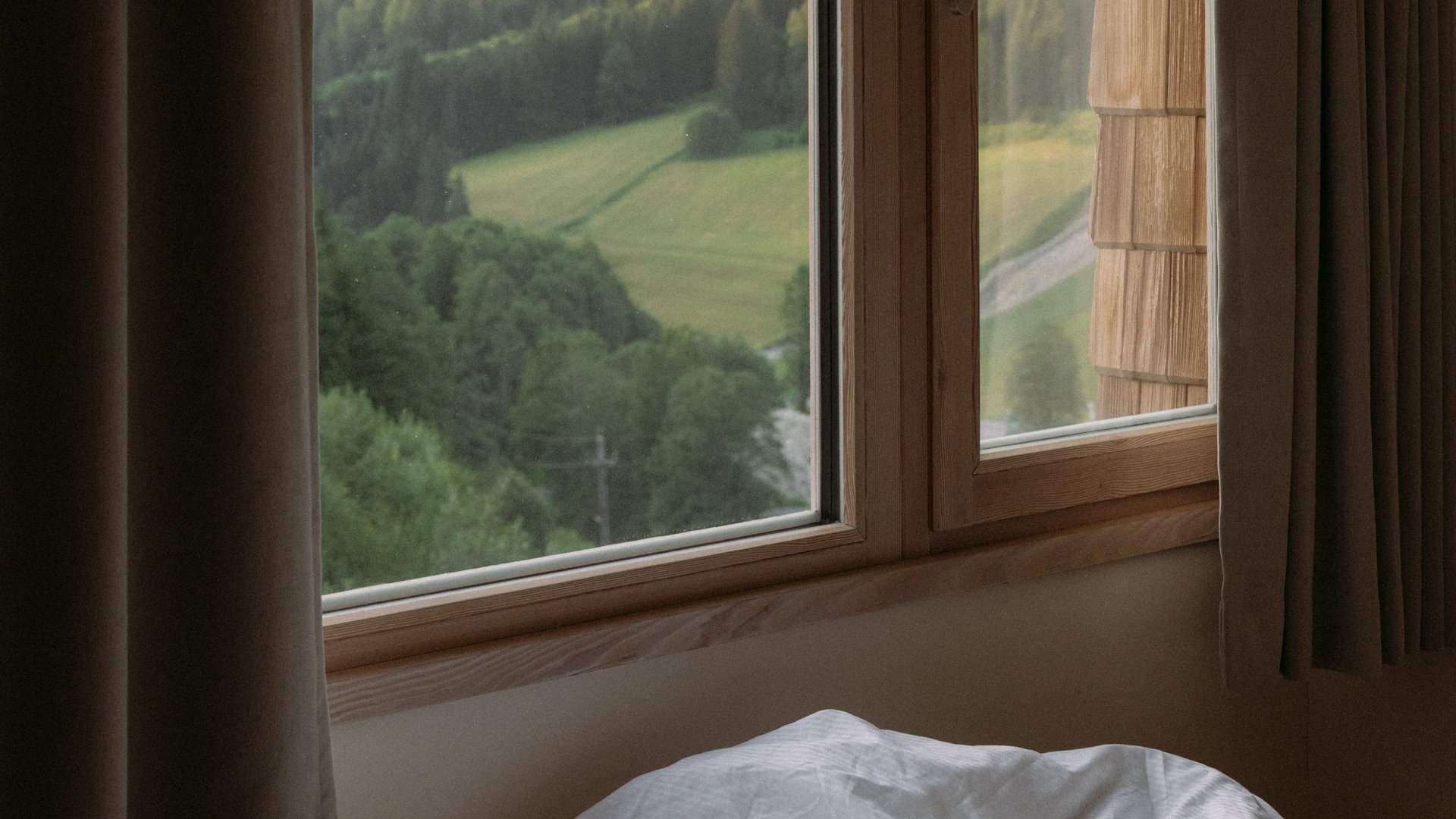 Blick durch Holzfenster in die Natur