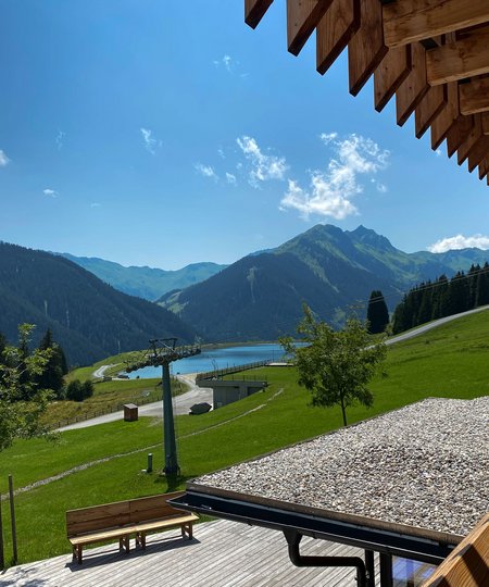 Sommer auf der Alm 1350 Sommer auf der Alm 1350