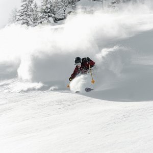 5 Gründe fürs Marten Snowboarder mit staubendem Schnee